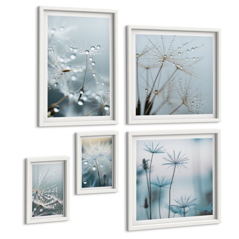 Zestaw 5 Obrazów ArtPrintCave (2x50x50+2x20x30+40x60cm) Biała rama Krople wody na pędach dmuchawców 1 kpl.