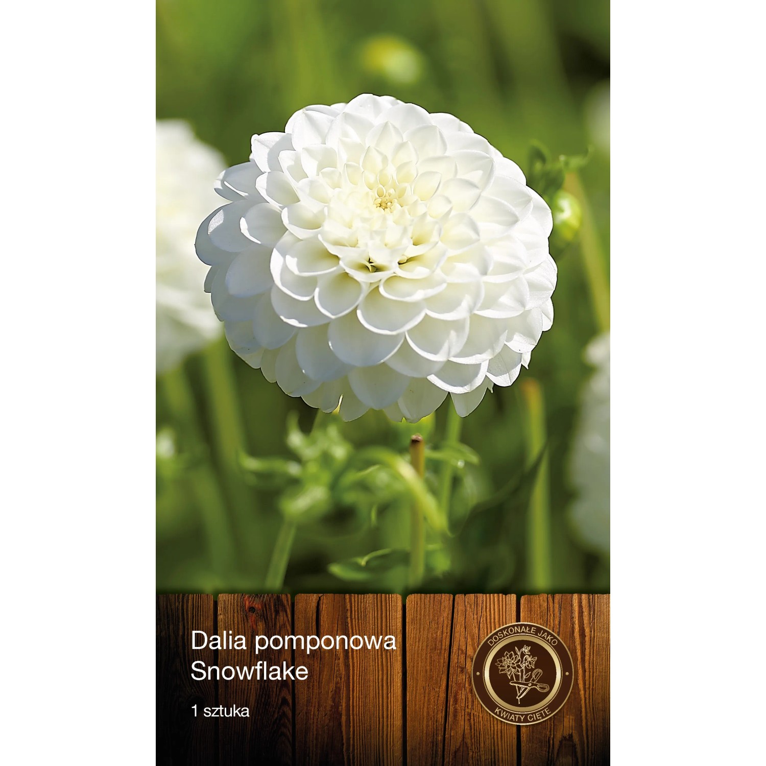 Dalia Snowflake 1szt.