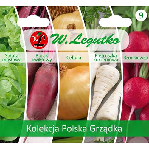 1 szt, Polnische Blumenbeete - Kollektion - Samen: Ilość w opakowaniu: 1 Stück