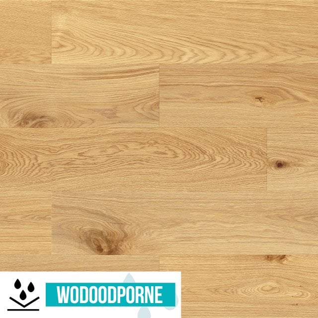 Panele winylowe SPC BARLINEK DĄB SOPHIA KL 23-33 5,2 mm