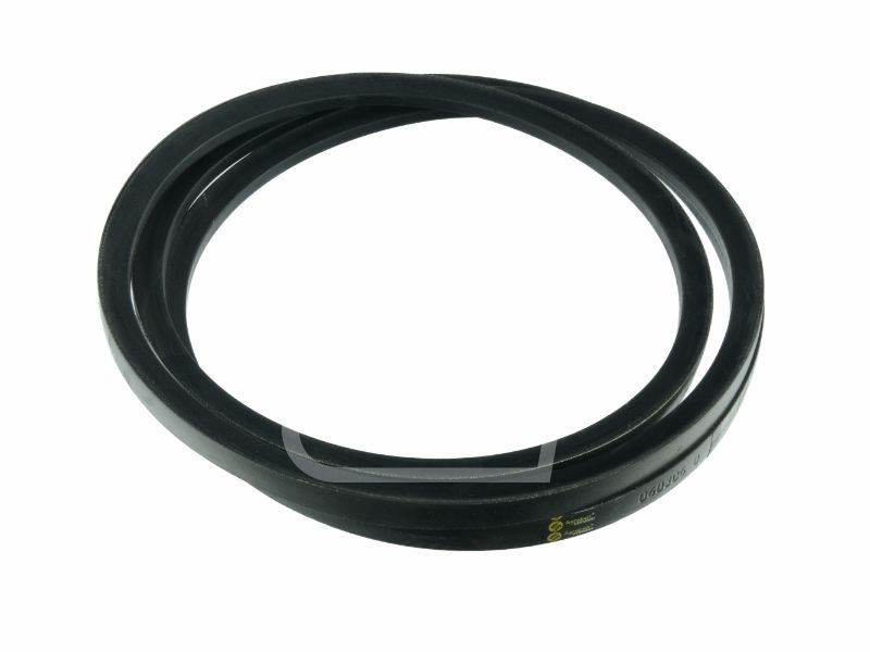 Pas 060306 22SPC x 3530 Agrobelt