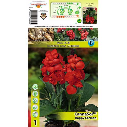 1 buc, Canna Happy Carmen - Bulbi: Mod de ambalare: 1 buc