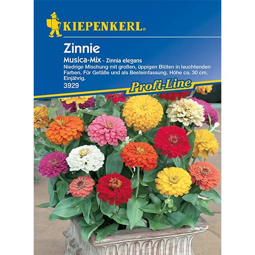 1 pac, Zinnia (Cârciumăreasă) Musica - Semințe: Mod de ambalare: 1 pac