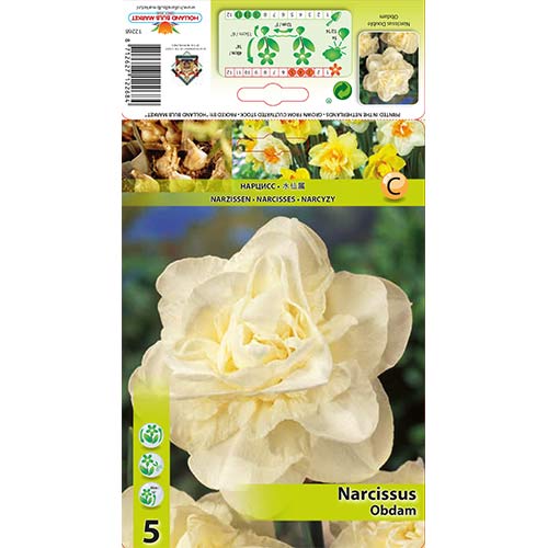 5 cib, Narcis Obdam - : Monžstvo balíkov: 5 cib