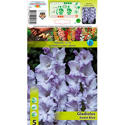 5 cib, Mečík Ruffled Sweet Blue - : Monžstvo balíkov: 5 cib