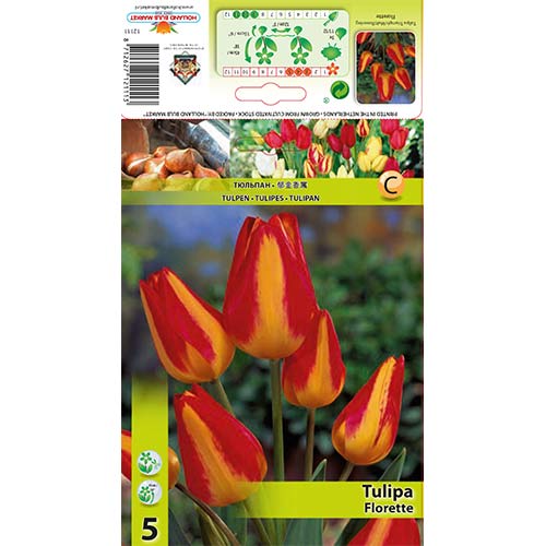 5 cib, Tulipán Florette - : Monžstvo balíkov: 5 cib