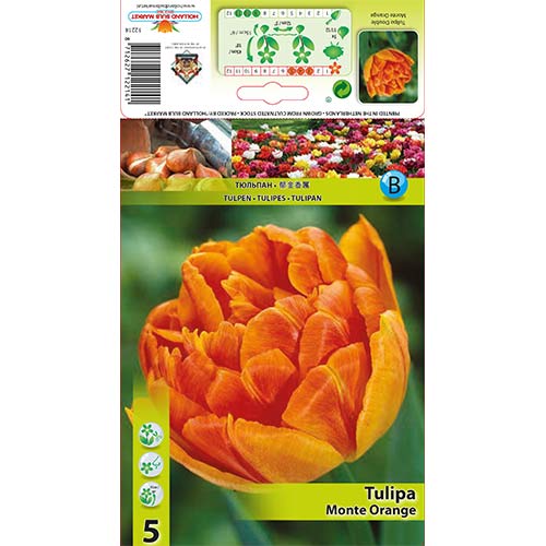 5 cib, Tulipán Monte Orange - : Monžstvo balíkov: 5 cib