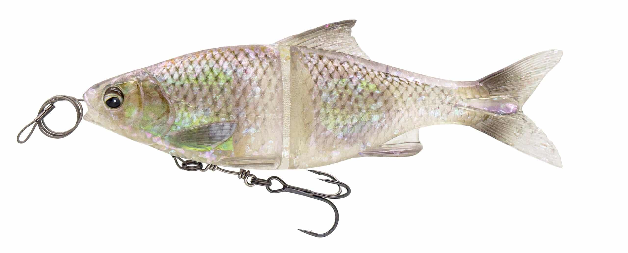 Savage Gear Guma 3D Glide Roach 23cm Ghost Roach