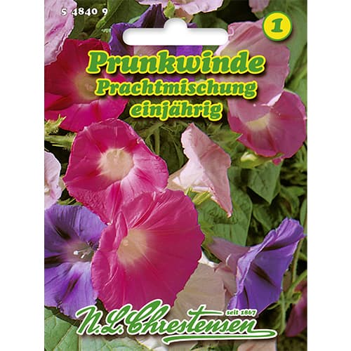 1 pac, Zorele Splendid, mix multicolor - Semințe: Mod de ambalare: 1 pac