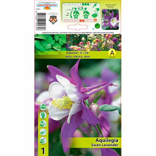 1 buc, Căldărușă (Aquilegia) Swan Lavender - Bulbi: Mod de ambalare: 1 buc