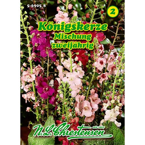 1 kus, Divizna brunátná Königskerze, směs - : Monžstvo balíkov: 1 kus