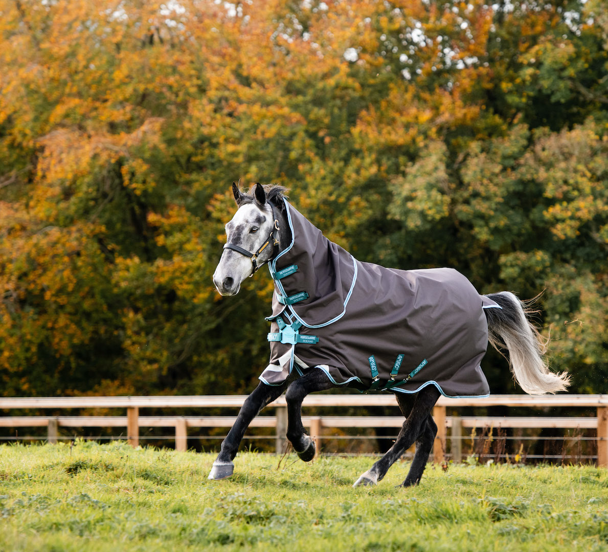 Horseware derka padokowa z kapturem Amigo Bravo 12 Plus 250g 24h