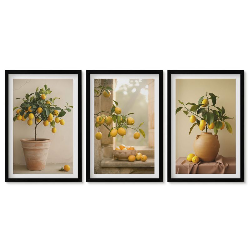 Tryptyk w czarnej ramie Tulup 40x60 cm Cytrynowe drzewka w donicach Obrazy do kuchni w ramie 1 kpl