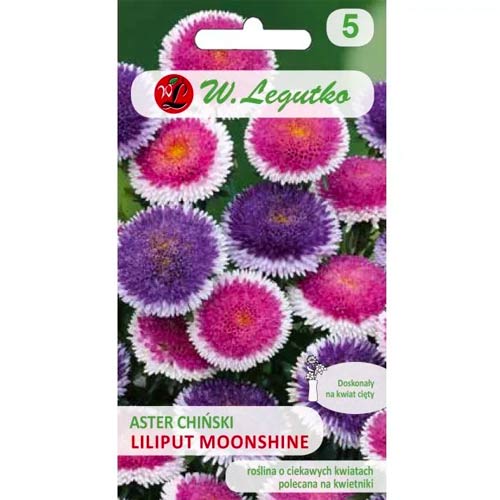 1 szt, Aster pomponowy Liliput Moonshine, mix kolorow - Nasiona: Ilość w opakowaniu: 0.3 g