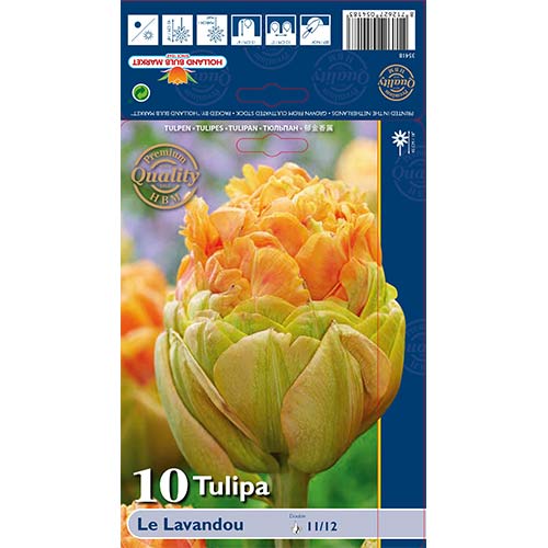 10 cib, Tulipán Le Lavendou - : Monžstvo balíkov: 10 cib
