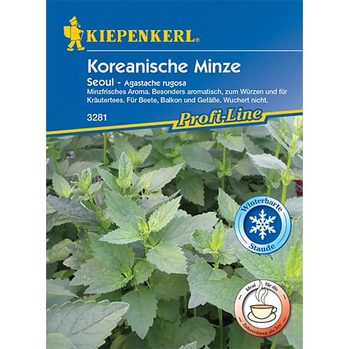 Agastache kórejská Seoul - : Monžstvo balíkov: 1 ob