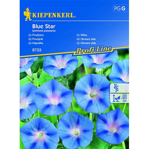 1 szt, Prunkwinde Blue Star - Samen: Ilość w opakowaniu: 1 Stück
