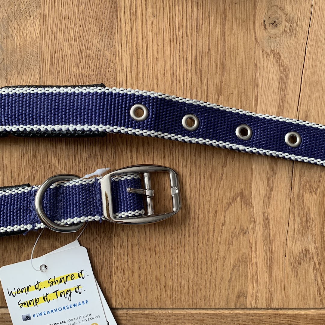 Horseware obroża dla psa Amigo 24h