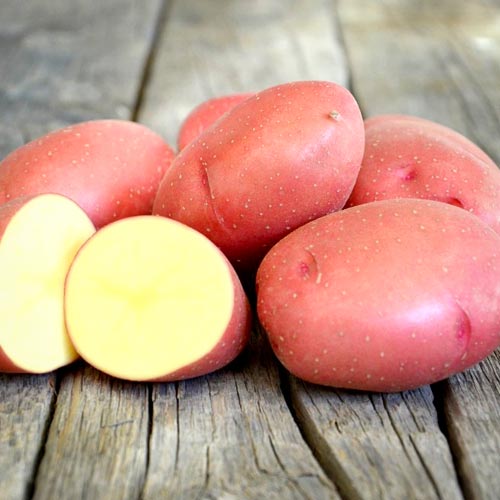 3 kg, Sadzeniaki ziemniaków Rosagold - : Ilość w opakowaniu: 3 kg