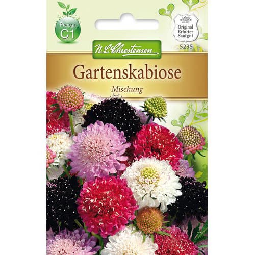 1 pac, Scabiosa, mix multicolor - Semințe: Mod de ambalare: 1 pac