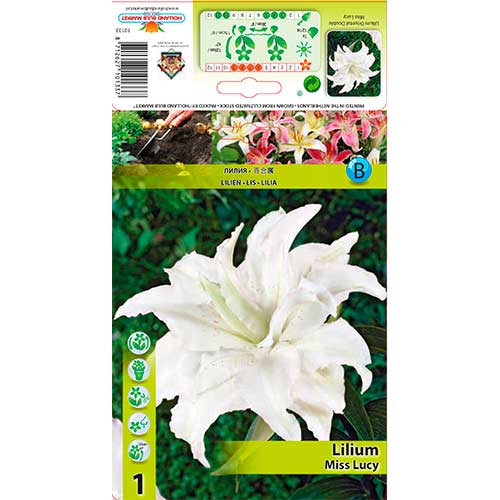 1 buc, Crin Miss Lucy - Bulbi: Mod de ambalare: 1 buc