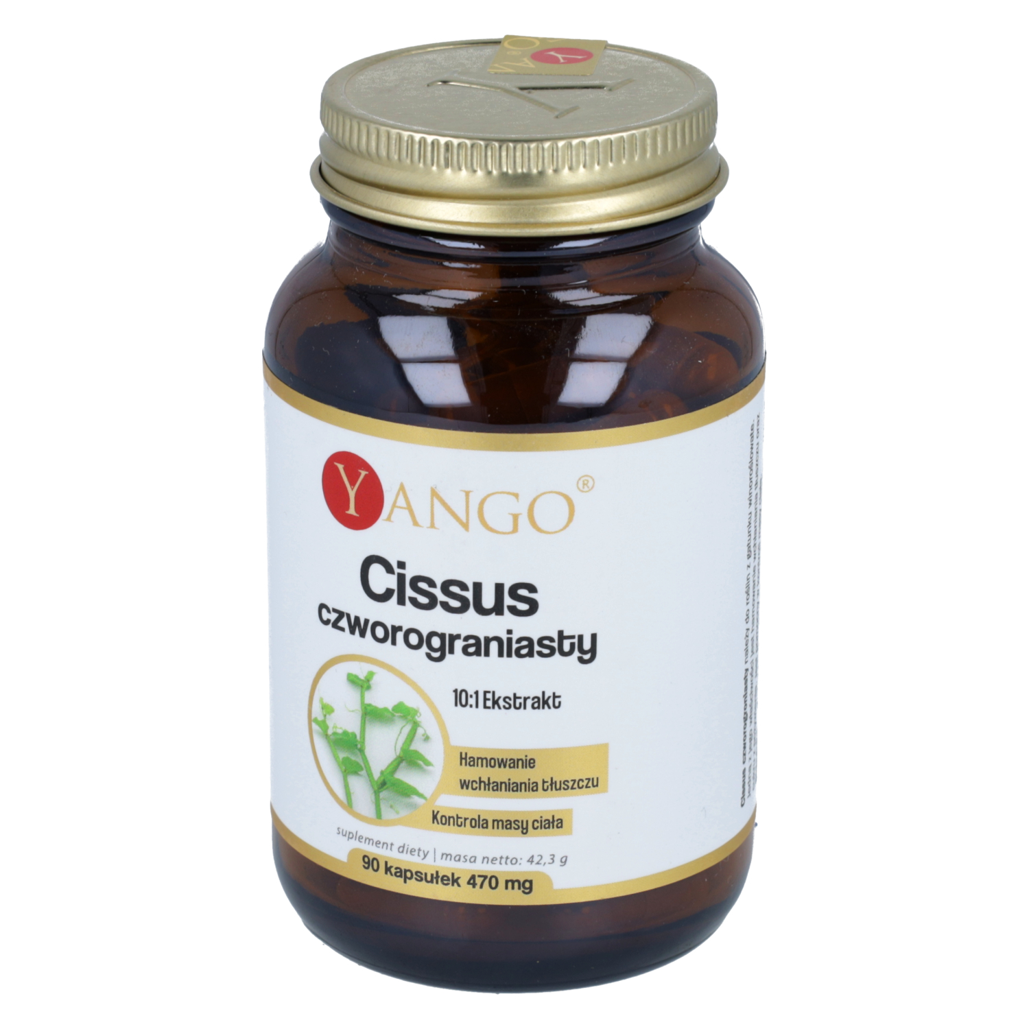 Yango cissus czworograniasty, 90 kapsułek