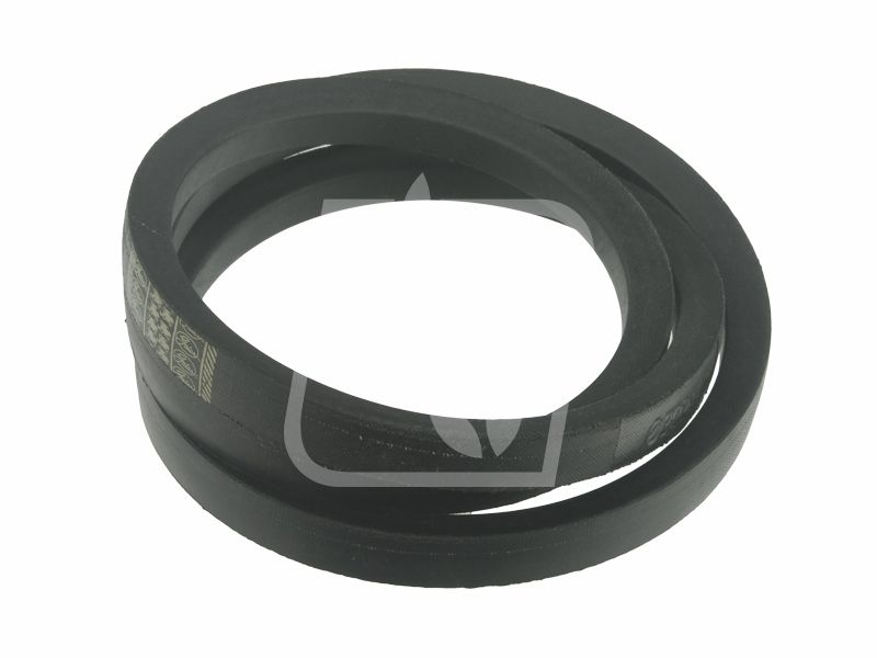 Pas 2 szt 412399M1 22 x 1700
