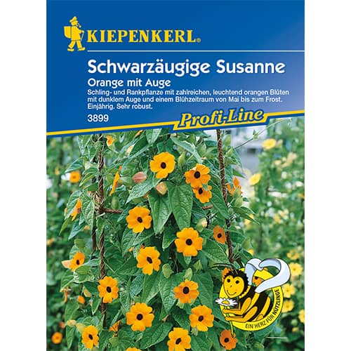 1 szt, Tunbergia Susanne Orange mit Auge - Nasiona: Ilość w opakowaniu: 50 szt.