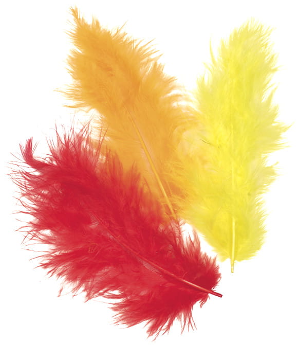 Piórka ok. 10cm różne kolory .