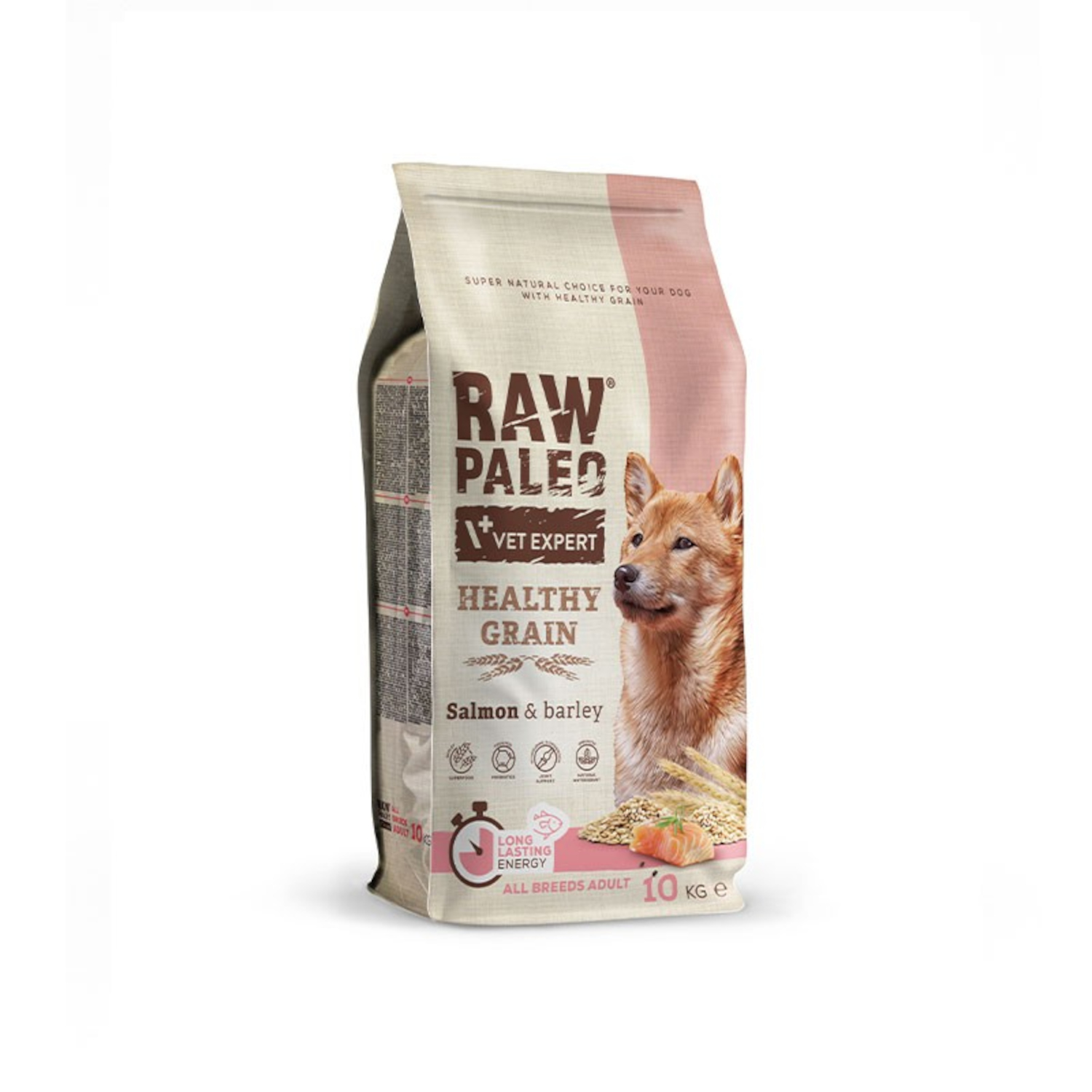 Salmon Adult | RAW PALEO Healthy Grain | 10kg | Sucha pełnowartościowa karma dla psa