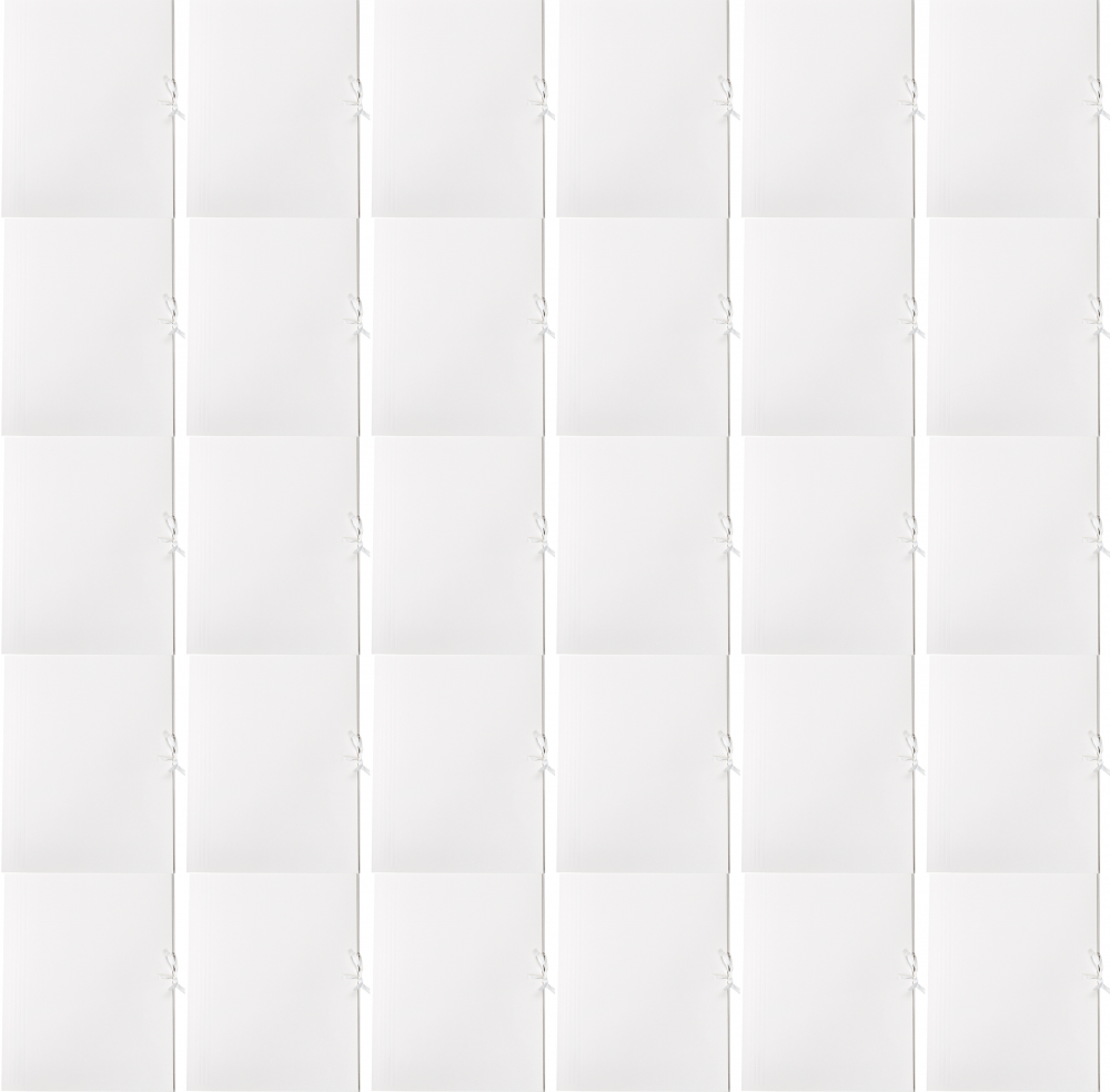 100x Teczka wiązana Lux Barbara, A4, kartonowa, 250g/m2, 20mm, biały
