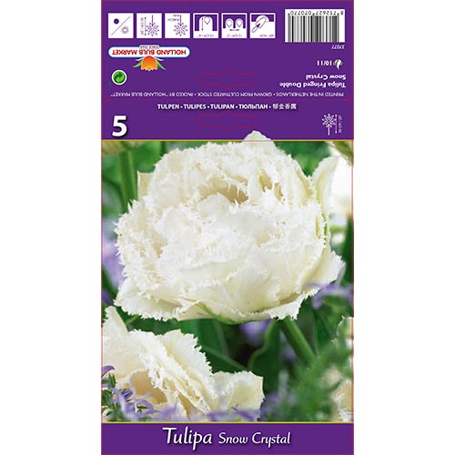 5 buc, Lalele Snow Crystal - Bulbi: Mod de ambalare: 5 buc