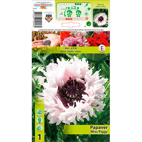 1 buc, Mac de grădină (Papaver) Miss Piggy Ruffles - Bulbi: Mod de ambalare: 1 buc