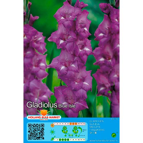 5 cib, Mečík Blue Isle - : Monžstvo balíkov: 5 cib