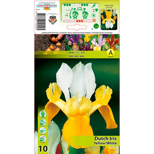 10 kus, Kosatec holandský White-Yellow - : Monžstvo balíkov: 10 kus