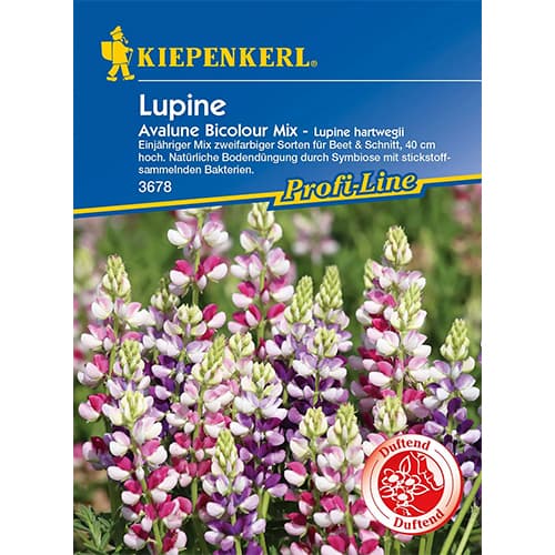 1 ob, Lupina letní Avalune Bicolor - : Monžstvo balíkov: 1 ob