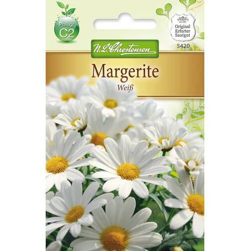 Chryzantéma (Sedmokráska) White - : Monžstvo balíkov: 1 ob