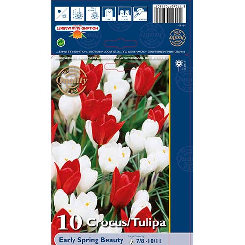 10 cib, Super nabídka! Sada tulipánů, krokusů ze 2 odrůd - : Monžstvo balíkov: 10 cib