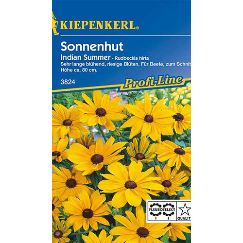 Rudbekia srstnatá Indian Summer - : Monžstvo balíkov: 1 ob