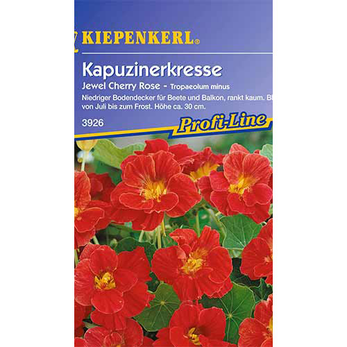 Kapucínka menšia Jewel Cherry Rose - : Monžstvo balíkov: 1 ob