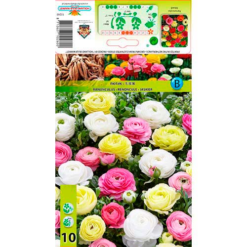 10 cib, Iskerník Pastel Mix - : Monžstvo balíkov: 10 cib