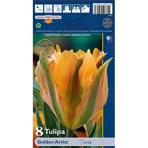 8 Stück, Tulpe Golden Artist - Blumenzwiebeln: Ilość w opakowaniu: 8 Stück
