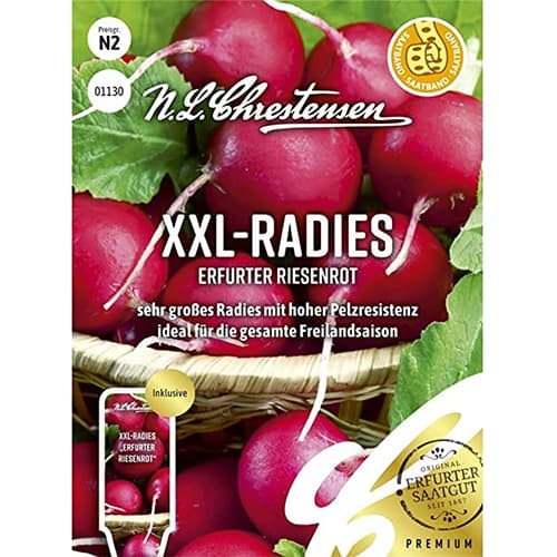 1 szt, XXL - Radies Erfurter Riesenrot - Samen: Ilość w opakowaniu: 1 Stück