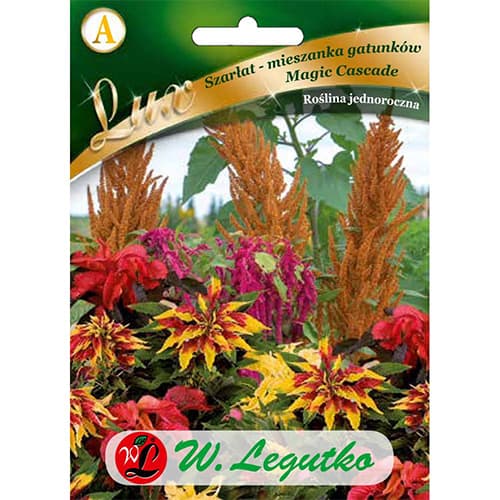 1 szt, Popp - Amaranth Magic Cascade Mischung - Samen: Ilość w opakowaniu: 0.5 g