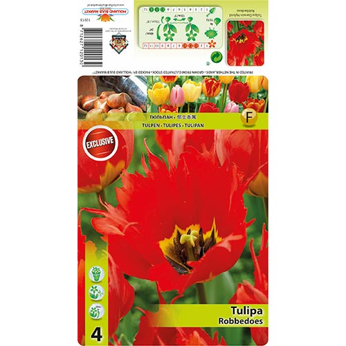 Tulip Robbedoes - Bulbos: Ilość w opakowaniu: 5 bulbe