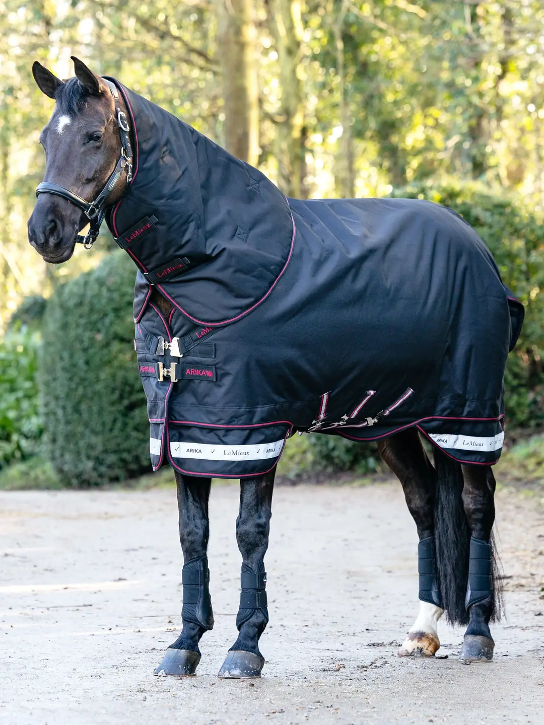 Lemieux Arika Storm-Tek derka padokowa z kapturem 100g Black
