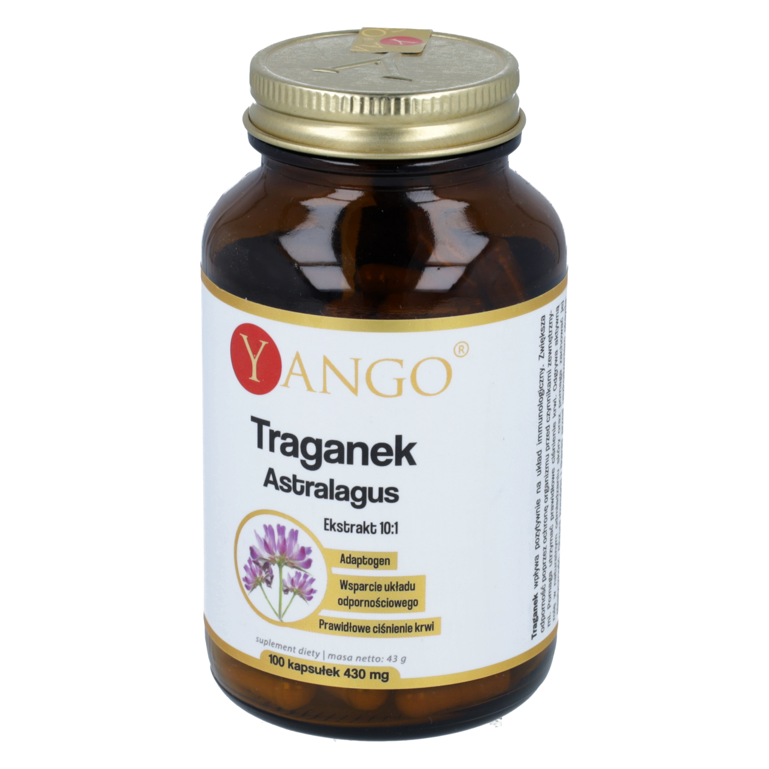 Yango traganek (astralagus), 100 kapsułek