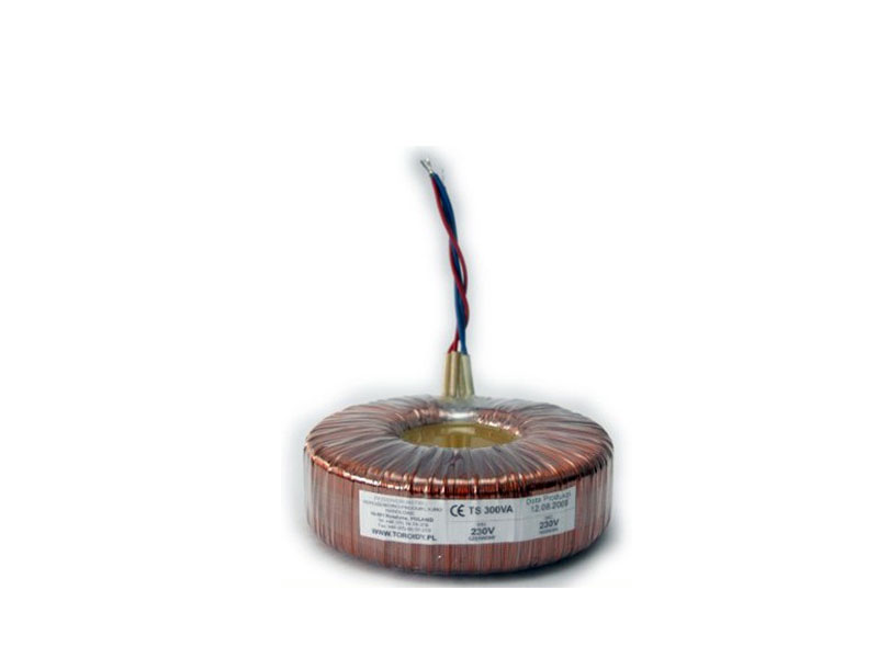 TTS0300 - Transformer TS300VA/230 - voltage from 55 to 100 V