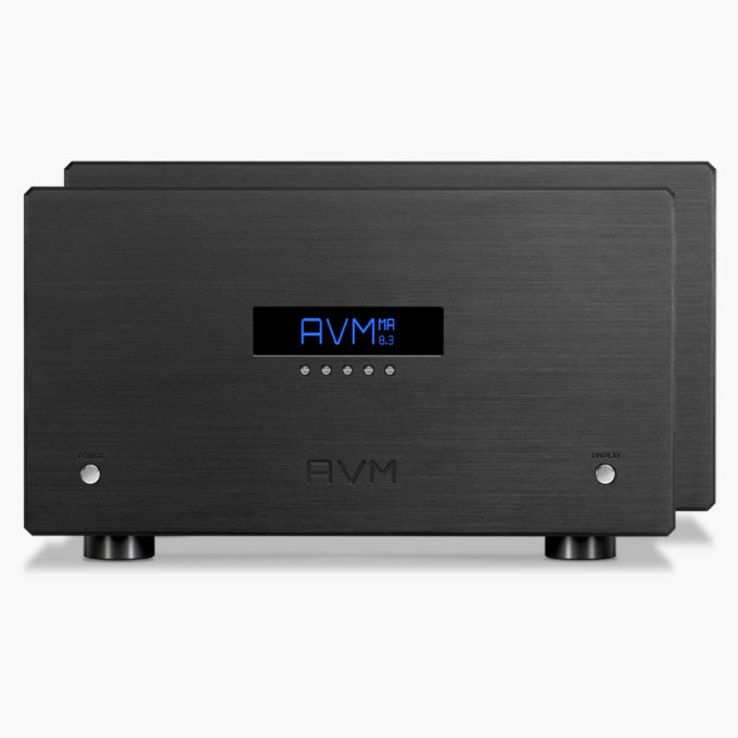 Para końcówek mocy mono avm ovation ma 8.3