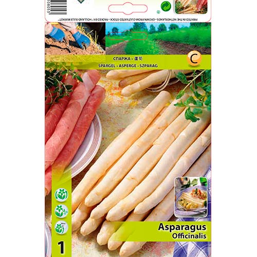 Špargľa lekárska - : Monžstvo balíkov: 1 kus
